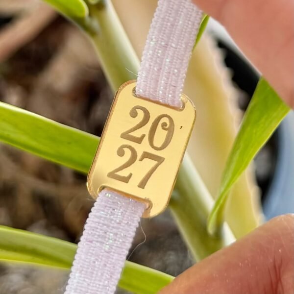 Passante Retangular Arredondado 2027 – 5 und – DOURADO